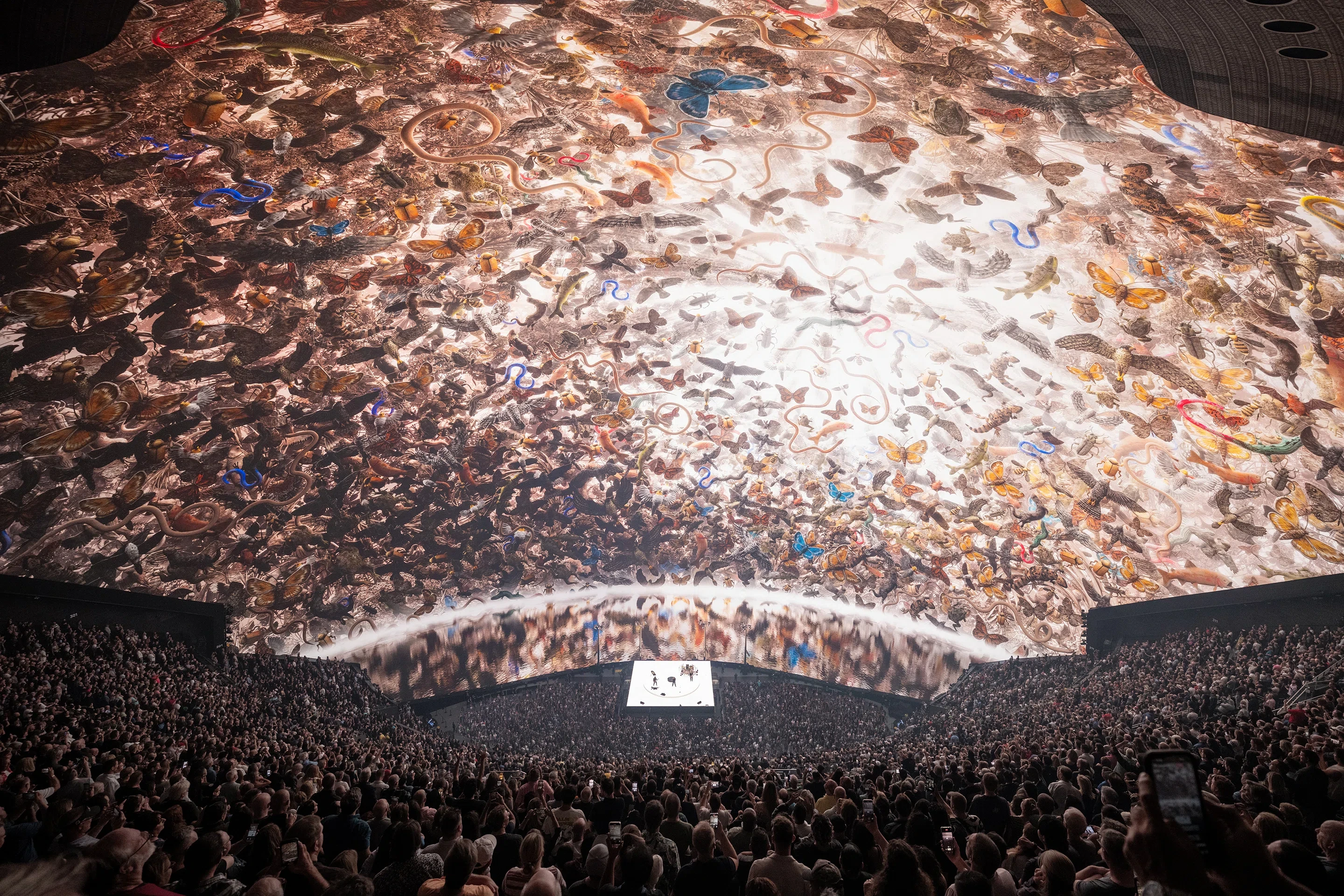 The Sphere: hightech podium in Las Vegas brengt live events naar een ongekend niveau